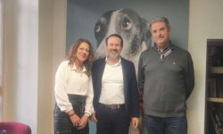 Identificación, formación acreditada y habilitación veterinaria, pilares esenciales para la viabilidad de la Ley de Bienestar