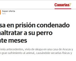 Canarias7: Ingresa en prisión condenado por maltratar a su perro durante meses.